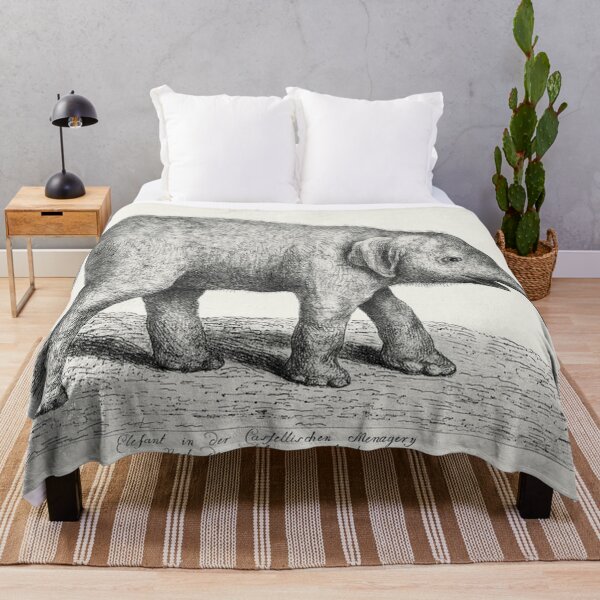 Item preview, A Young Elephant by Johann Heinrich Tischbein the Younger (1742–1808 designed and sold by krh327.