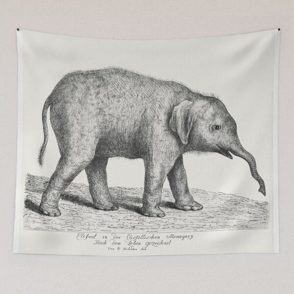 Item preview, A Young Elephant by Johann Heinrich Tischbein the Younger (1742–1808 designed and sold by krh327.