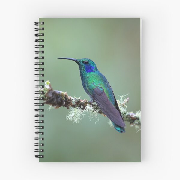 Item preview, Green Violetear Hummingbird - Costa Rica designed and sold by James Cumming.