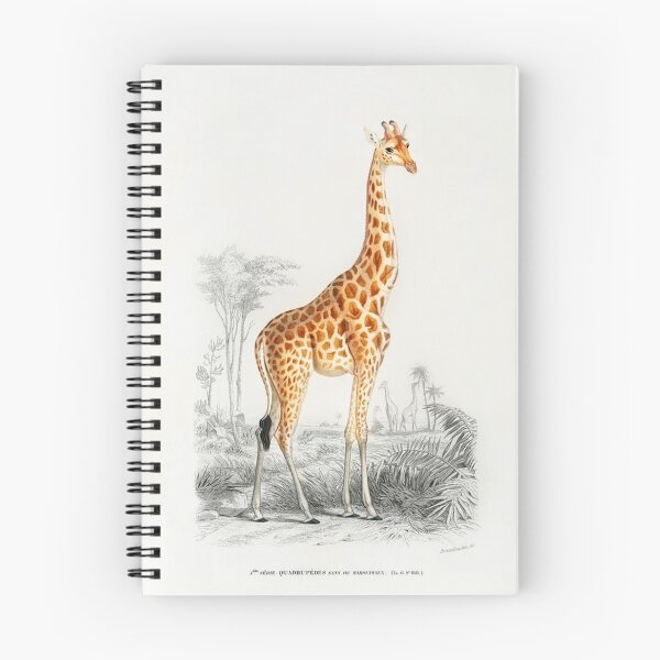 Item preview, Dictionnaire Universel D'histoire Naturelle - Giraffe (Giraffa camelopardalis)  designed and sold by krh327.