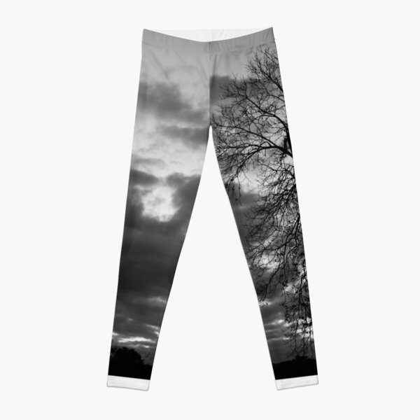 Crooked Tree Leggings