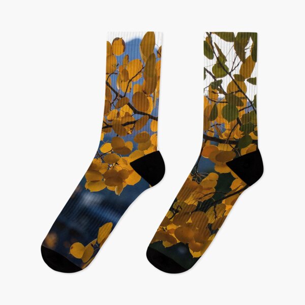 Item preview, Aspens in Breckenridge designed and sold by MtnGirlK8.