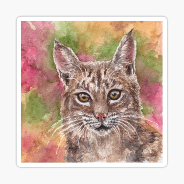 Bobcat, Sonoran Desert Sticker