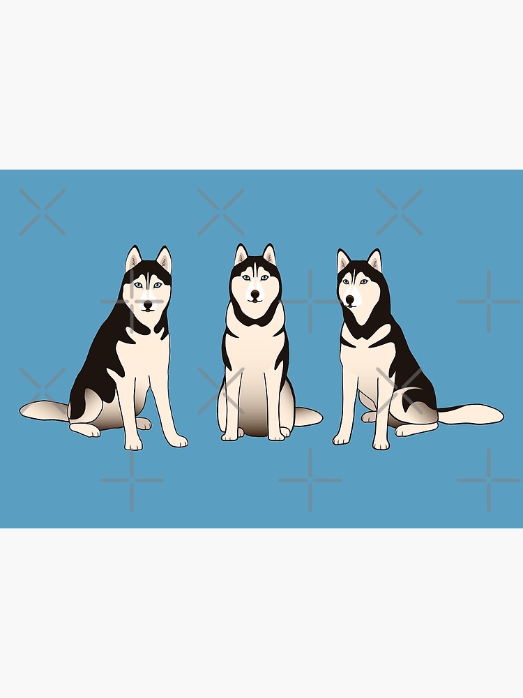 Husky Dogs on blue by nadyanadya