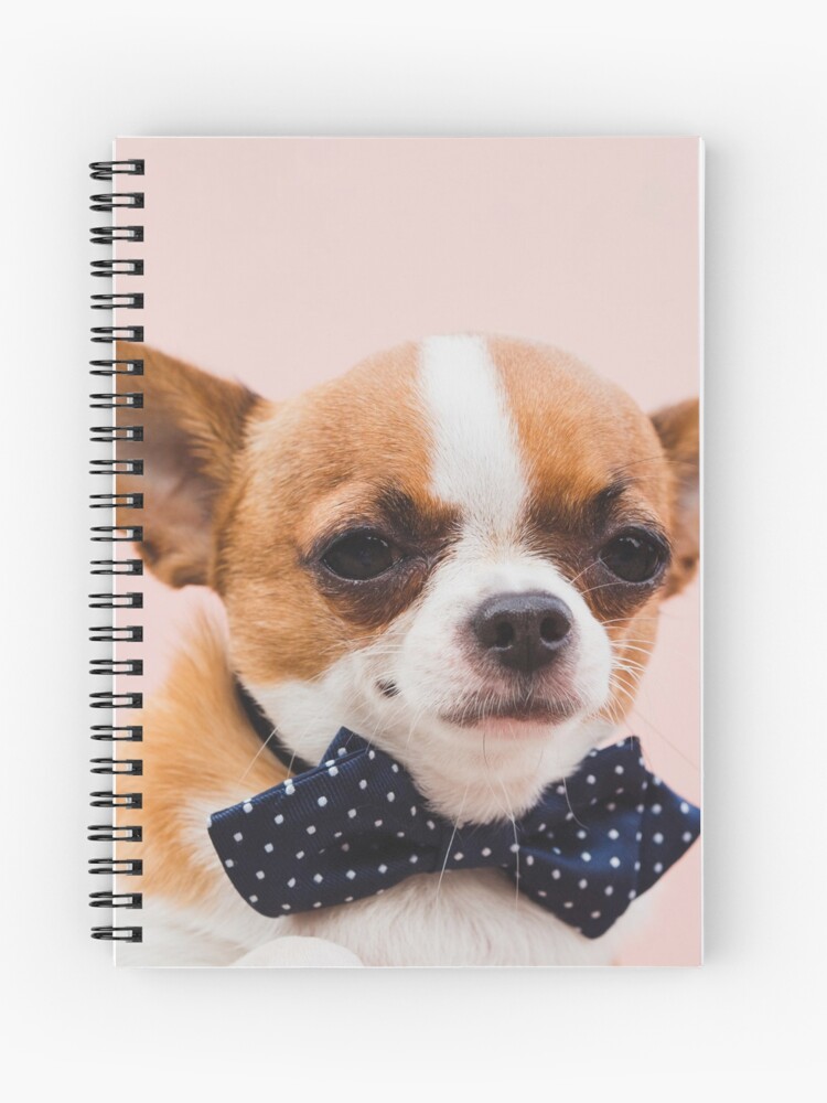 Cute Chihuahua Puppy with Blue Ribbon Journal
