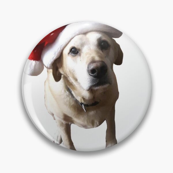 Artikelvorschau, Hund mit Weihnachtsmütze entworfen und verkauft von KSource.