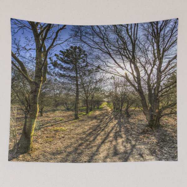 Item preview, A Forest Walk designed and sold by Londonimages.
