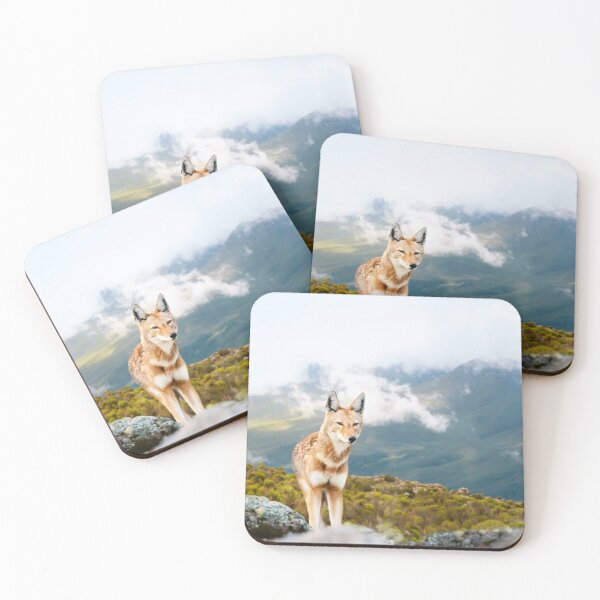 Item preview, Ethiopian wolf in beautiful Bale mountains designed and sold by dgwildlife.
