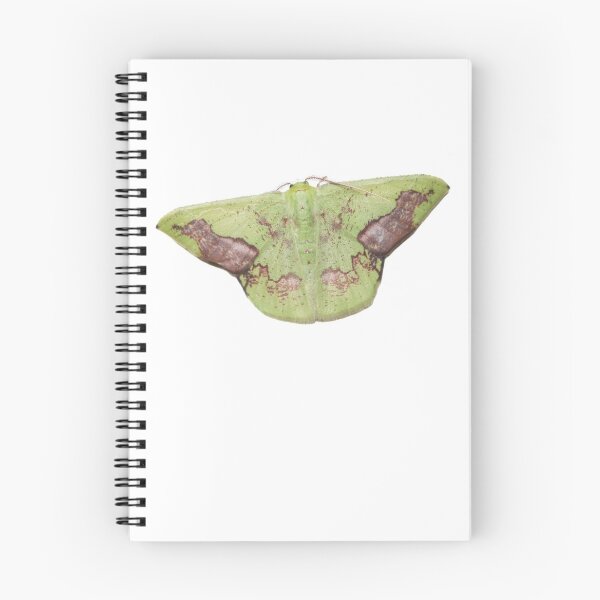 Item preview, Crisp Emerald Moth designed and sold by isabetabug.