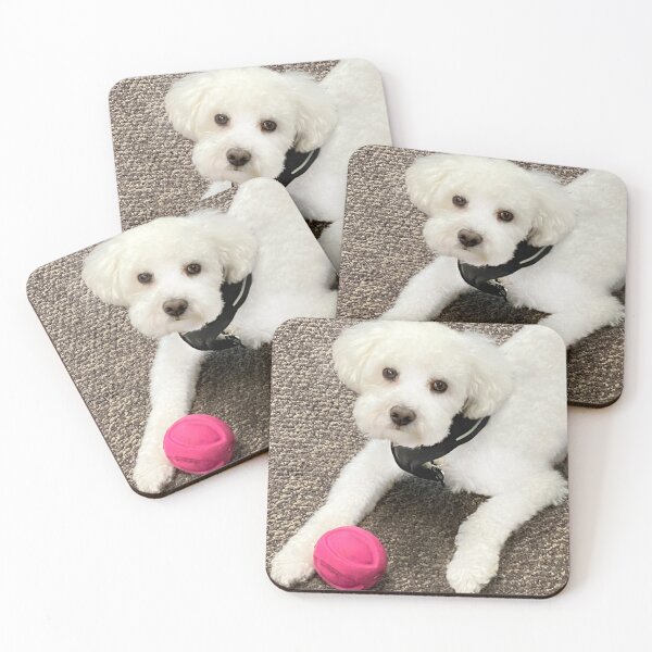 Item preview, Maltese with red ball. Photo credit: Edward Curukcuyan designed and sold by Helga Taylor.