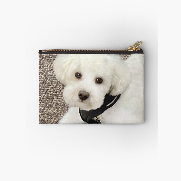 Item preview, Maltese with red ball. Photo credit: Edward Curukcuyan designed and sold by Helga Taylor.