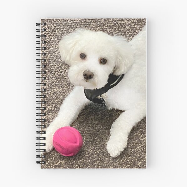 Item preview, Maltese with red ball. Photo credit: Edward Curukcuyan designed and sold by Helga Taylor.
