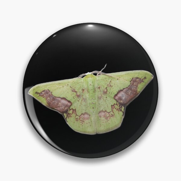 Item preview, Crisp Emerald Moth designed and sold by isabetabug.