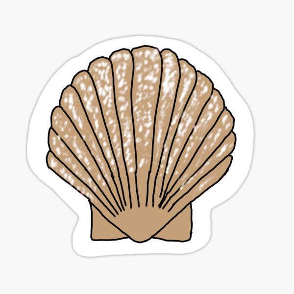 Seashell Sticker