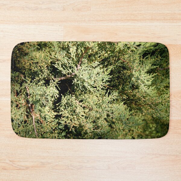 Item preview, Close-up of Eastern Red Cedar designed and sold by Rennie Palmer.