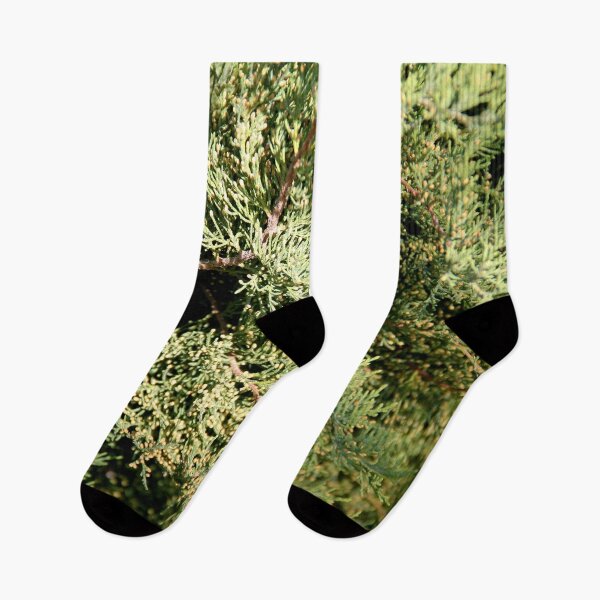 Item preview, Close-up of Eastern Red Cedar designed and sold by Rennie Palmer.
