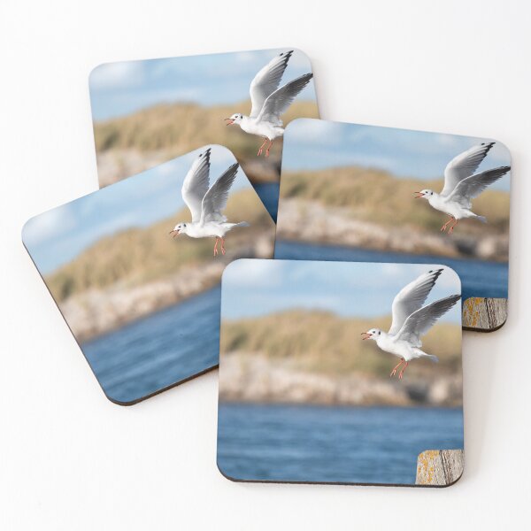 Item preview, At Darsser Ort designed and sold by boegau-photo.