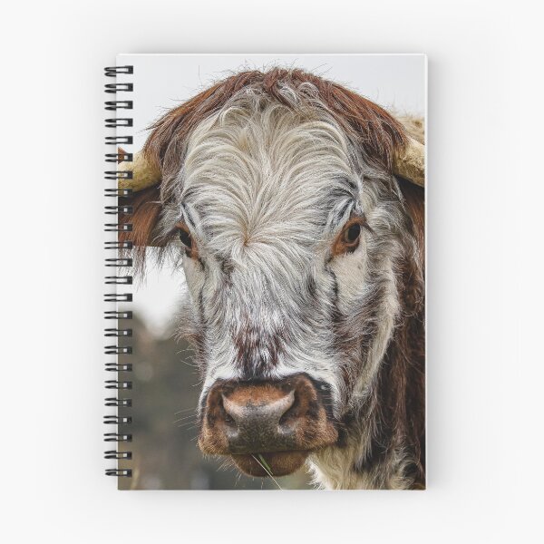 Item preview, Hairy cow designed and sold by MartinWood.