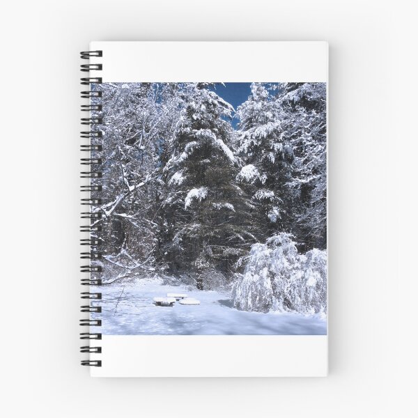 Item preview, Snowed In designed and sold by David Captain.