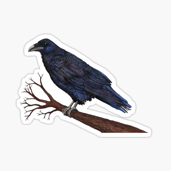 Raven Sticker