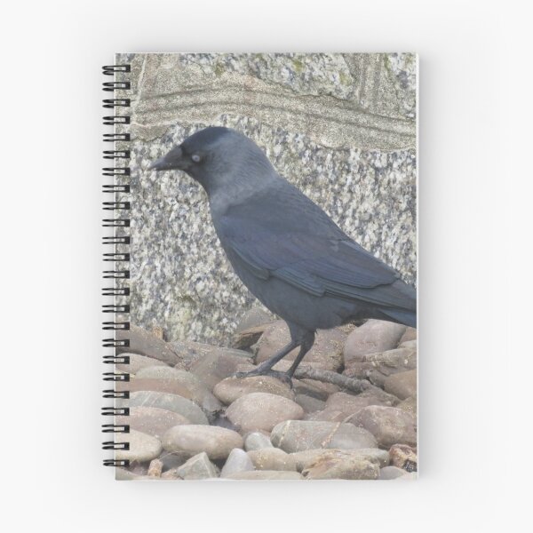 Item preview, Cornish Jackdaw designed and sold by Gingatoo.