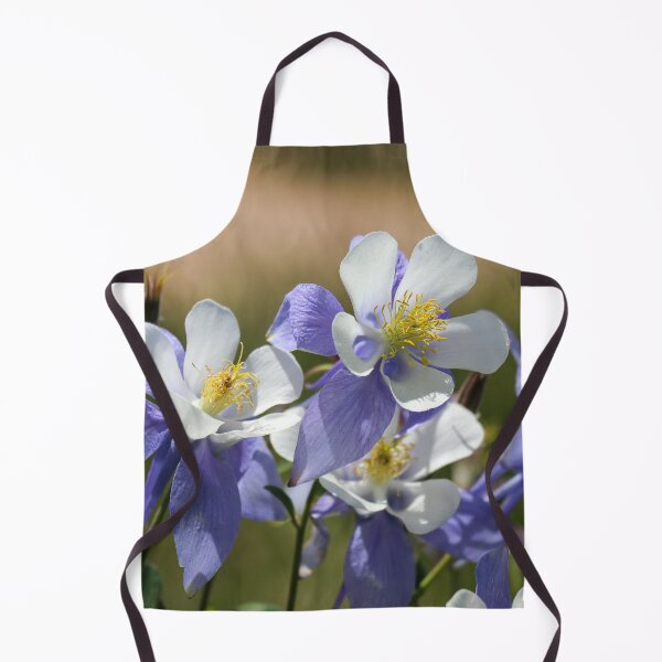 Artikelvorschau, Buntes Colorado Columbine in der Sonne entworfen und verkauft von MtnGirlK8.