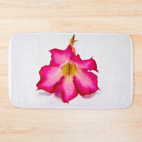Item preview, Adenium obesum flower isolated on white background designed and sold by Kevin Hellon.