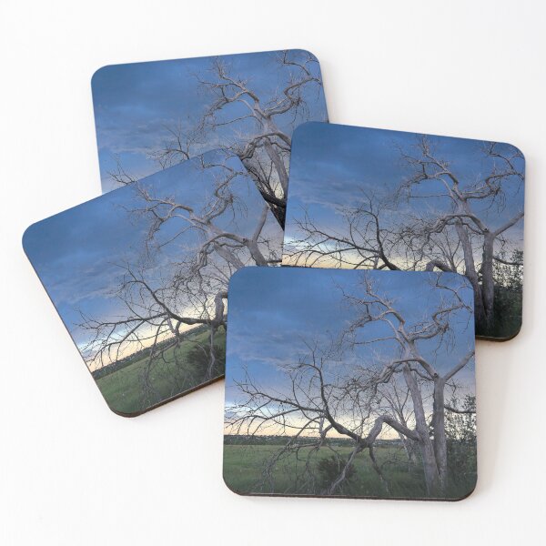 Item preview, Gnarly Tree designed and sold by MtnGirlK8.