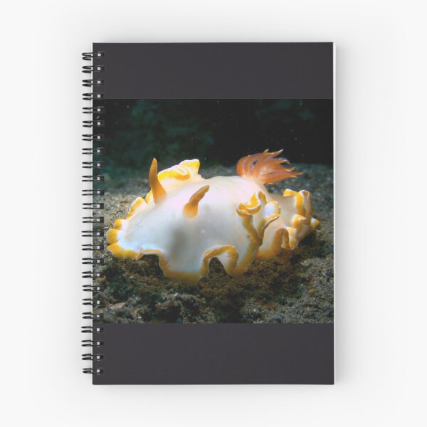 Item preview, Heron Ardeadoris Nudibranch designed and sold by RandomPieces.