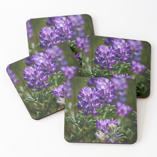 Item preview, Wild Lupine in Bloom designed and sold by MtnGirlK8.