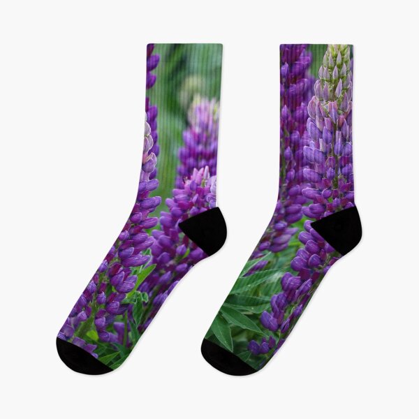Artikelvorschau, Lila Lupine in voller Blüte entworfen und verkauft von MtnGirlK8.