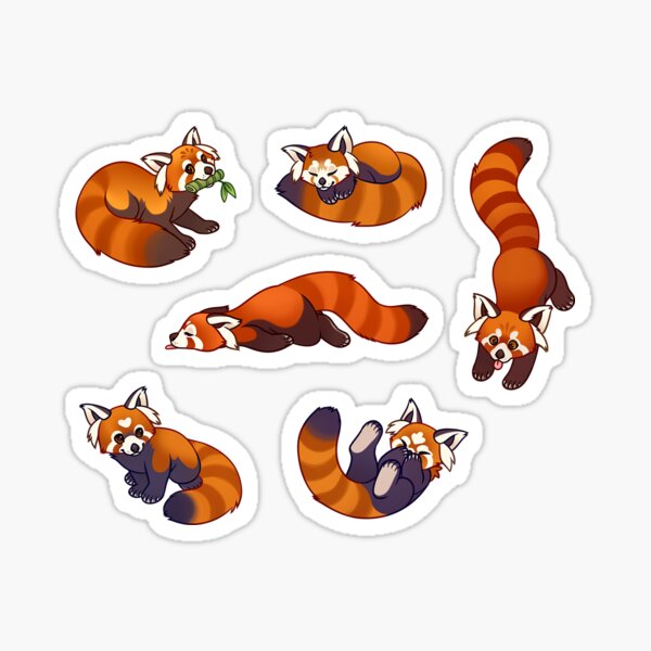 Red panda Sticker