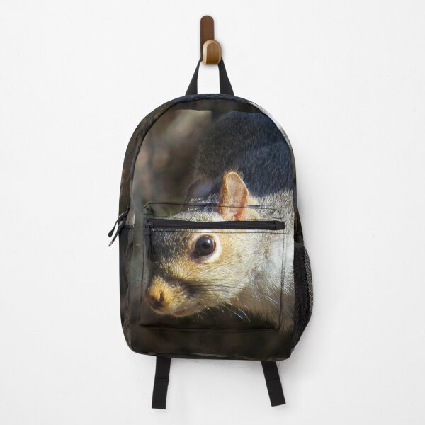 Item preview, Eastern Gray Squirrel (Sciruus carolinensis) designed and sold by Jean Gregory Evans.