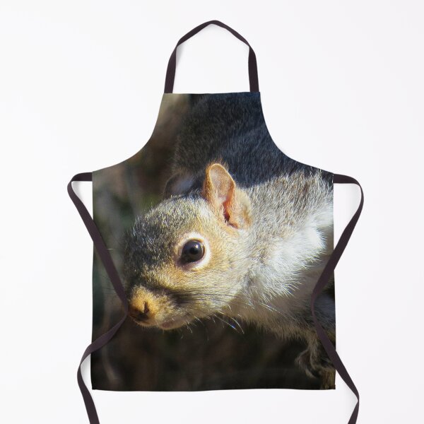 Item preview, Eastern Gray Squirrel (Sciruus carolinensis) designed and sold by Jean Gregory Evans.