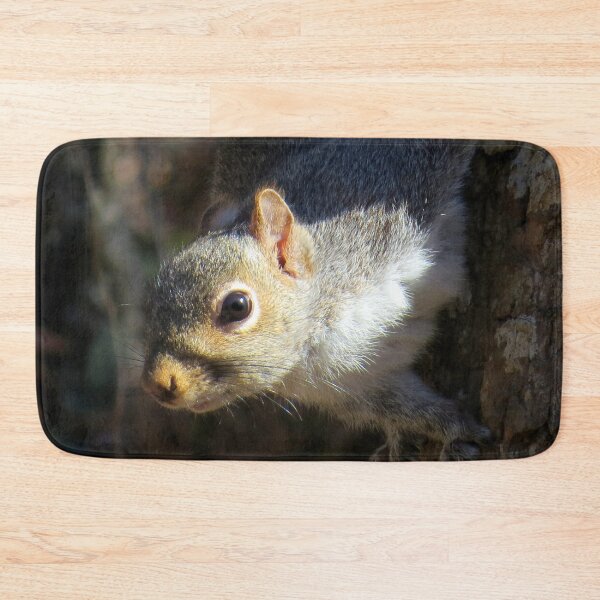 Item preview, Eastern Gray Squirrel (Sciruus carolinensis) designed and sold by Jean Gregory Evans.