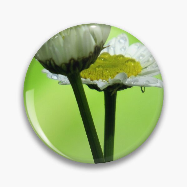 Item preview, Rainy Daisy designed and sold by Jean Gregory Evans.