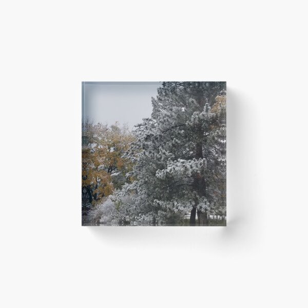 Item preview, Early winter dusting designed and sold by gratogratto.
