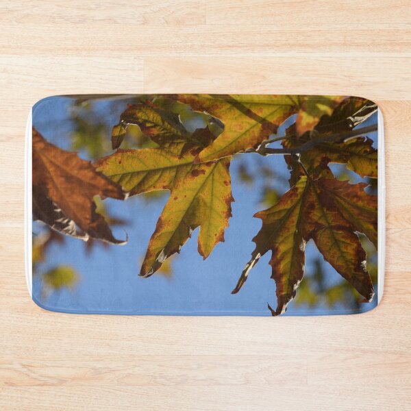 Item preview, Fall Foliage in Jerusalem designed and sold by DanaLauraPhoto.