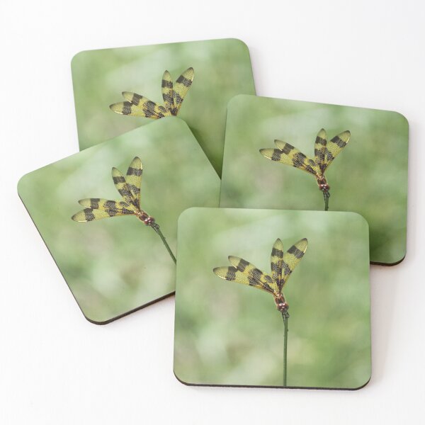 Item preview, Dragonfly Posing as a Flower designed and sold by LisaNaturePhoto.
