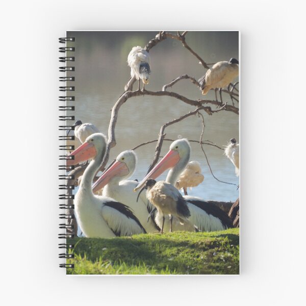 Item preview, Roosting  designed and sold by D-GaP.