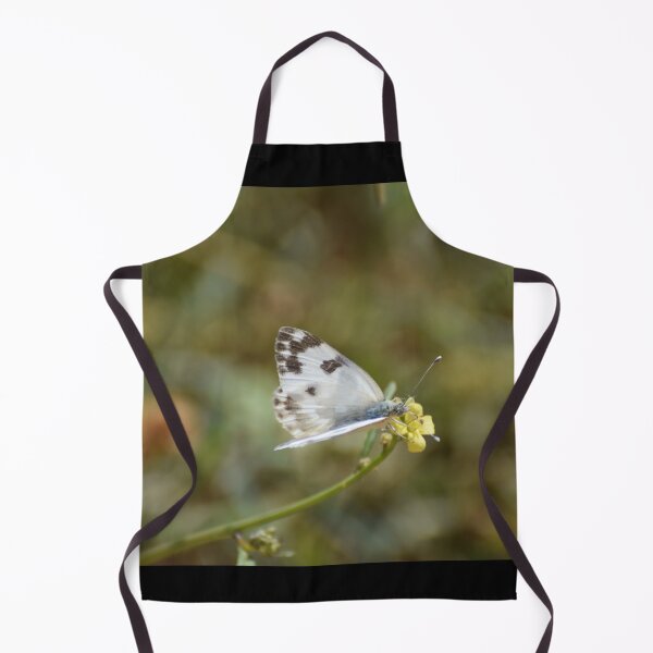 Item preview, Butterfly in Jerusalem designed and sold by DanaLauraPhoto.