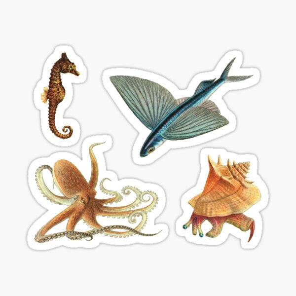 Item preview, Ocean Marine Life Sticker Pack  designed and sold by elevens.