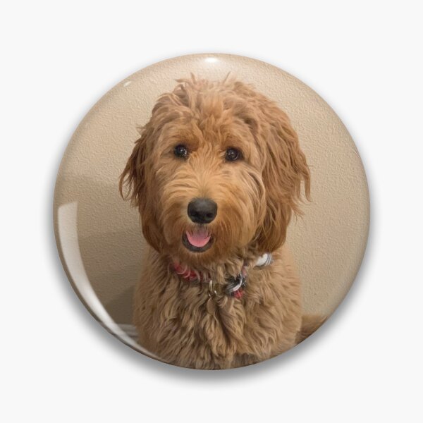 Item preview, Daisy the goldendoodle! Photo credit: Anahit Khachatoorian designed and sold by Helga Taylor.