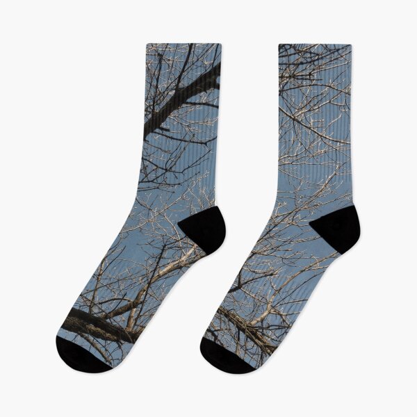 Item preview, Winter Tree Branches in the Blue Sky designed and sold by Jeremy Schwartz.