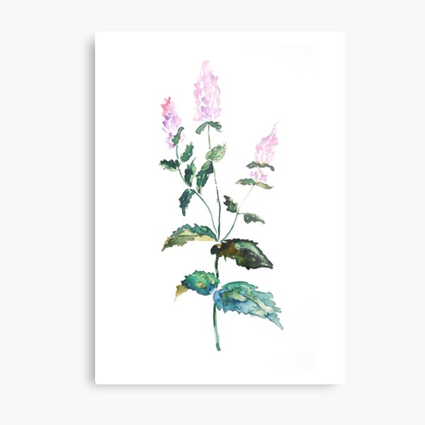 Wild herbs collection watercolor Metal Print