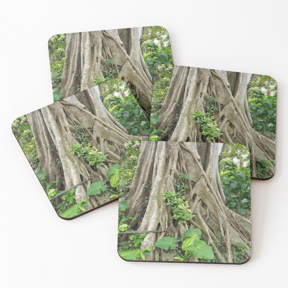 Item preview, Coasters (Set of 4) designed and sold by JohnnyPhoto.