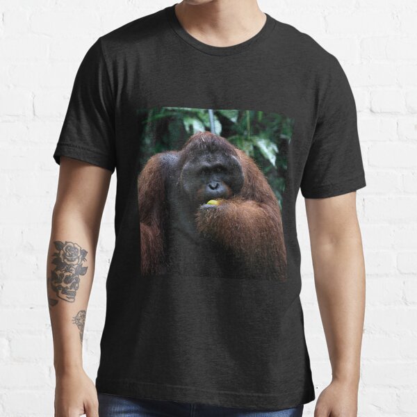 Mother & baby Orangutan, Borneo  Essential T-Shirt for Sale by Carole-Anne