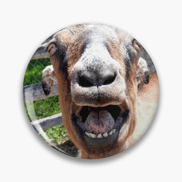 Item preview, Funny yelling goat, goat mouth, screaming goat designed and sold by Stephanie  Skeem.