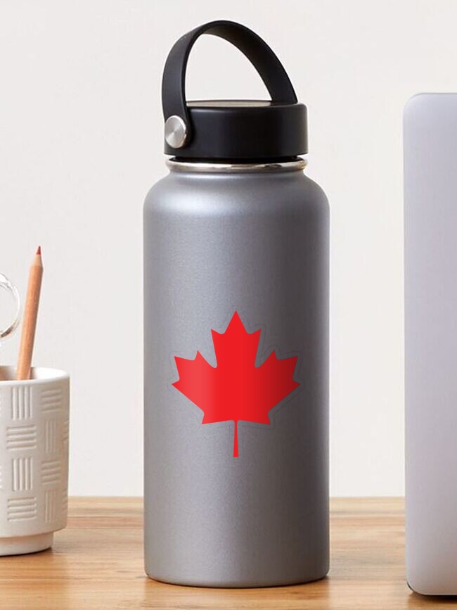 Canadian tire best sale hydro flask