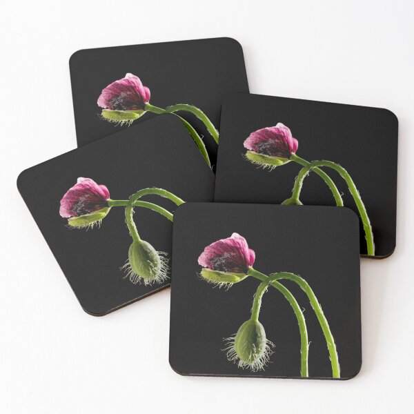 Item preview, 2 poppies on black not open designed and sold by MarkFoleyPhoto.